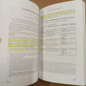 Questions d'histoire. L'Afrique romaine de 69 à 439. Romanisation et Christianisation