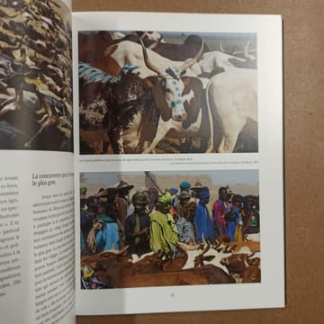 Vaca bruto, du quotidien au sacré : taureaux d'Afrique Noire. LARROQUE, Olivier - NOUGAREDE, Martine