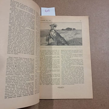 La Guerre du Feu. ROSNY, J.-H. (aîné) 