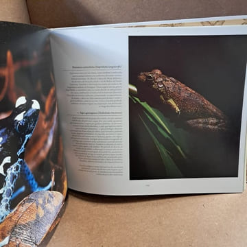 Araquém Alcântara : Bichos do Brasil : Animals of Brazil. PAVONE, Antônio Paulo - DELDUQUE, Marcelo
