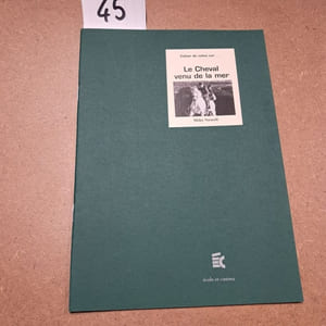 Cahier de notes sur Le Cheval venu de la mer (Mike Newell)