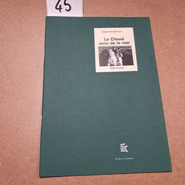 Cahier de notes sur Le Cheval venu de la mer (Mike Newell). Cahier de notes sur...