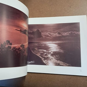 Emile Vignes, un regard sur les Landes