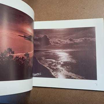 Emile Vignes, un regard sur les Landes. VIGNES, Emile - JEZEQUEL, Hervé