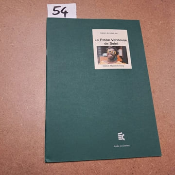 Cahier de notes sur La Petite Vendeuse de Soleil (Djibril Mambety Diop). Cahier de notes sur...