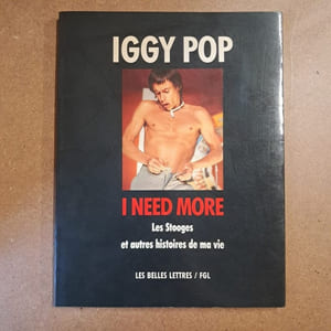 I need more. Les Stooges et autres histoires de ma vie