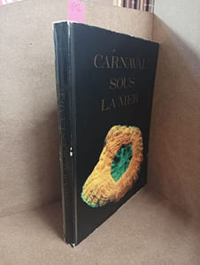 Carnaval sous la mer