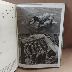 Impressions de chasse