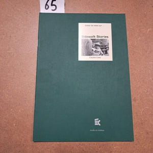 Cahier de notes sur Sidewalk Stories (Charles Lane)