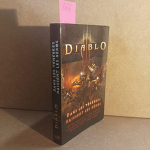 Diablo III : Dans les ténèbres naissent les héros