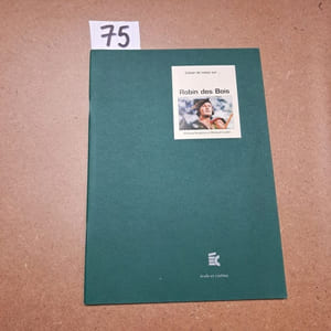 Cahier de notes sur Robin des Bois (William Keighley et Michael Curtiz)