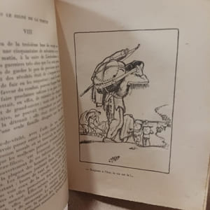 Sous le signe de la Tortue