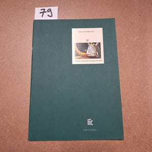 Cahier de notes sur U (Grégoire Solotareff & Serge Elissalde)