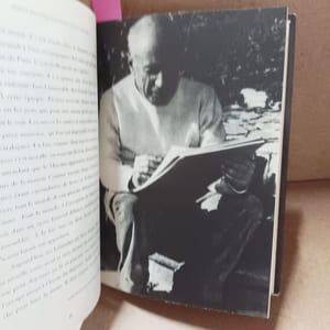 Pablo Picasso. Les dernières années
