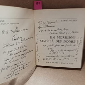 Jim Morrison. Au-delà des Doors