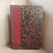 Manuel de Pal&eacute;ontologie. HOERNES, Rudolf 