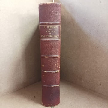 Manuel de Paléontologie. HOERNES, Rudolf