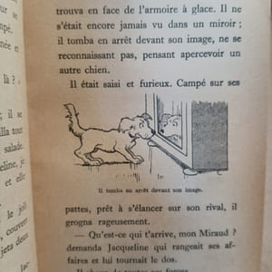 Le roman d'un bon chien