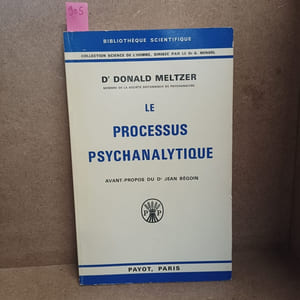 Le processus psychanalytique 