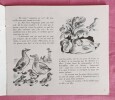 Le vilain petit canard. Andersen - albums du père Castor