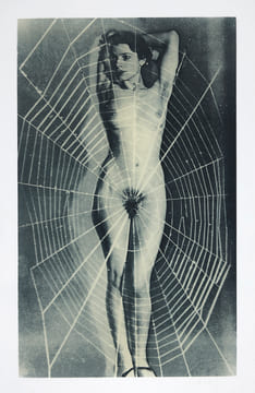 Nu Bleuté. – Sérigraphie sur Altuglass. MAN RAY, Emmanuel Radnitsky, dit