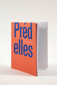 Agnès Thurnauer, Prédelles