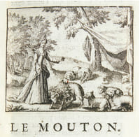 Nouveaux Contes des fées. Par Madame D * *.