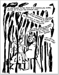 A Midsummer Night’s Dream, reinterpreted by Sylvie Selig