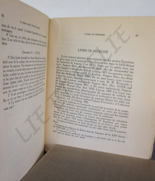 LA MAGIE DANS L'EGYPTE ANTIQUE- de l'ancien empire jusqu'al époque copte.. LEXA François.