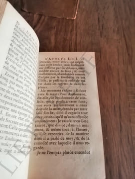 LES MÉTAMORPHOSES OU L' ÂNE D'OR D'APULÉE PHILOSOPHE PLATONICIEN
TRADUIT EN FRANÇOIS AVEC DES REMARQUES & DES FIGURES A CHAQUE LIVRE ET LE DÉMON DE ...