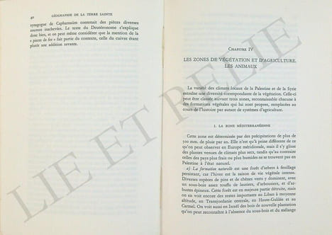 GÉOGRAPHIE DE LA TERRE SAINTE.. DU BUIT, M. O.P.
Professeur à l'école Biblique de Jérusalem.