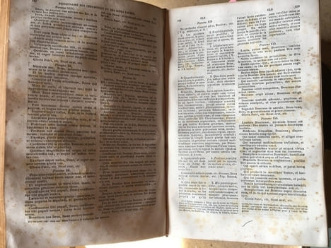 -DICTIONNAIRE DES HERESIES -. des erreurs et des schismes ou mémoires(pour servir a l'histoire)des égarements de l'esprit humain(par rapport a la ...