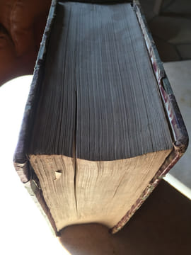 -DICTIONNAIRE DES HERESIES -. des erreurs et des schismes ou mémoires(pour servir a l'histoire)des égarements de l'esprit humain(par rapport a la ...