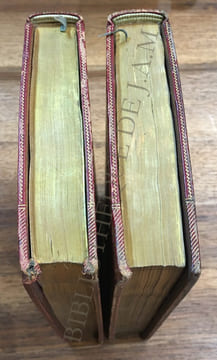 LES TEMPLIERS TRAGÉDIE, PAR M. RAYNOUARD SUIVIE DE L'EXTRAIT DE LA TRAGÉDIE ESPAGNOLE DES TEMPLIERS, PAR PEREZ DE MONTALBAN.
AVEC LE PORTRAIT DU ...
