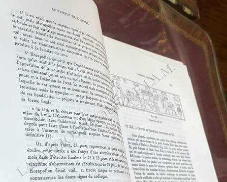 LE TEMPLE DANS L'HOMME.. SCHWALLER DE LUBICZ - René Adolphe.