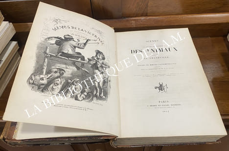 SCÈNES DE LA VIE PRIVÉE ET PUBLIQUE DES ANIMAUX.
Vignettes par Grandville. Études de mœurs contemporaines publiées sous la direction de M. P.-J. ...