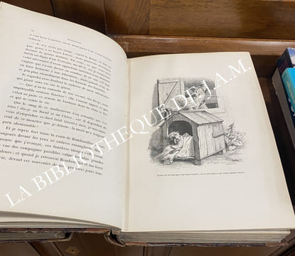 SCÈNES DE LA VIE PRIVÉE ET PUBLIQUE DES ANIMAUX.
Vignettes par Grandville. Études de mœurs contemporaines publiées sous la direction de M. P.-J. ...