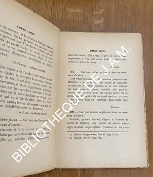 LES PIERRES MAGIQUES.
Histoire complète des pierres précieuses : leurs origines, leurs vertus, etc.. SANTINI DE RIOLS E. N.