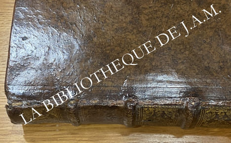 TRAITE PHILOSOPHIQUE DES LOIS NATURELLES.
Où l’on recherche et l’on établit, par la Nature des Choses, la forme de ces Lois, leurs principaux Chefs, ...