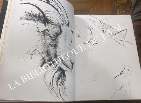 Histoires naturelles,
Illustré de pointes sèches originales de Pierre Letellier. Renard - Jules.