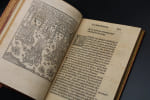 Les anciennes et modernes g&eacute;n&eacute;alogies des Roys de France. Bouchet, Jean