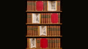 Histoire naturelle. Buffon, Georges Louis Leclerc de - Daubenton, Louis J. M. - Lac&eacute;p&egrave;de, Bernard-Germain de