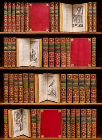 HISTOIRE NATURELLE, GENERALE ET PARTICULIERE, AVEC LA DESCRIPTION DU CABINET DU ROY.