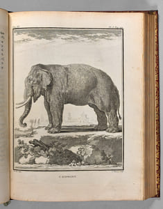HISTOIRE NATURELLE, GENERALE ET PARTICULIERE, AVEC LA DESCRIPTION DU CABINET DU ROY.