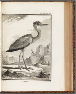 HISTOIRE NATURELLE, GENERALE ET PARTICULIERE, AVEC LA DESCRIPTION DU CABINET DU ROY.
