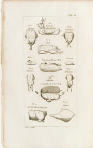 LE CUISINIER ANGLAIS UNIVERSEL