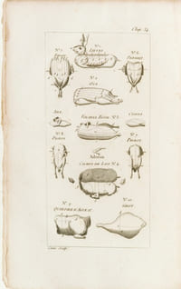 LE CUISINIER ANGLAIS UNIVERSEL