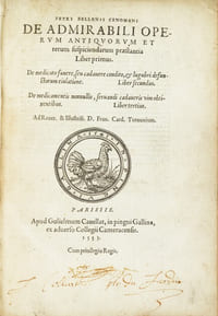 DE ARBORIBUS CONIFERIS.