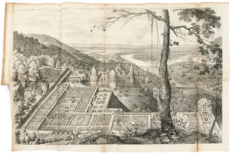 HORTUS PALATINUS.