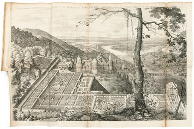 HORTUS PALATINUS.